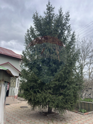 119.900 EUR