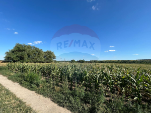 12.000 EUR