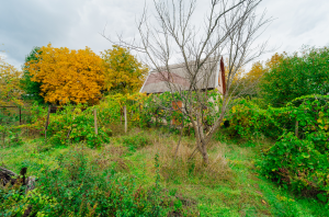 26.000 EUR