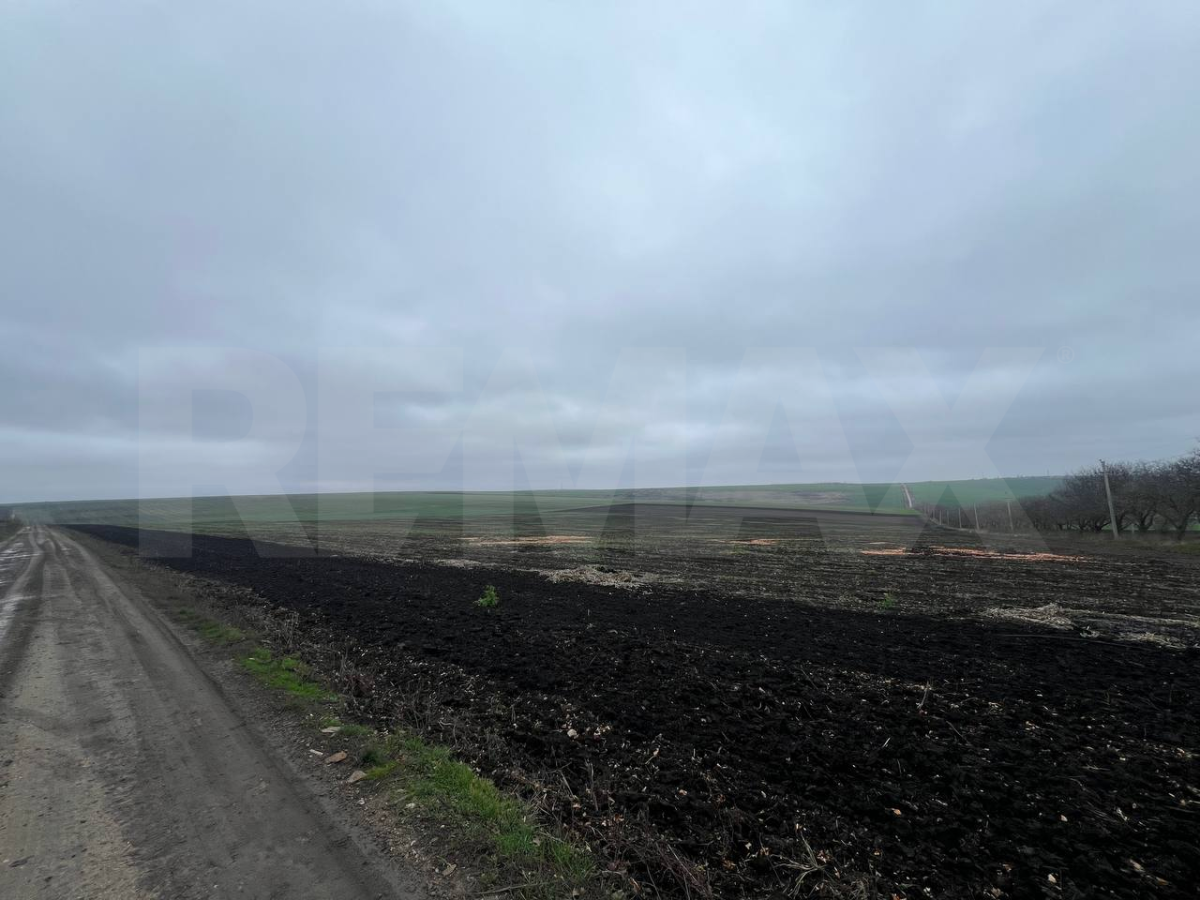 1.696.250 EUR