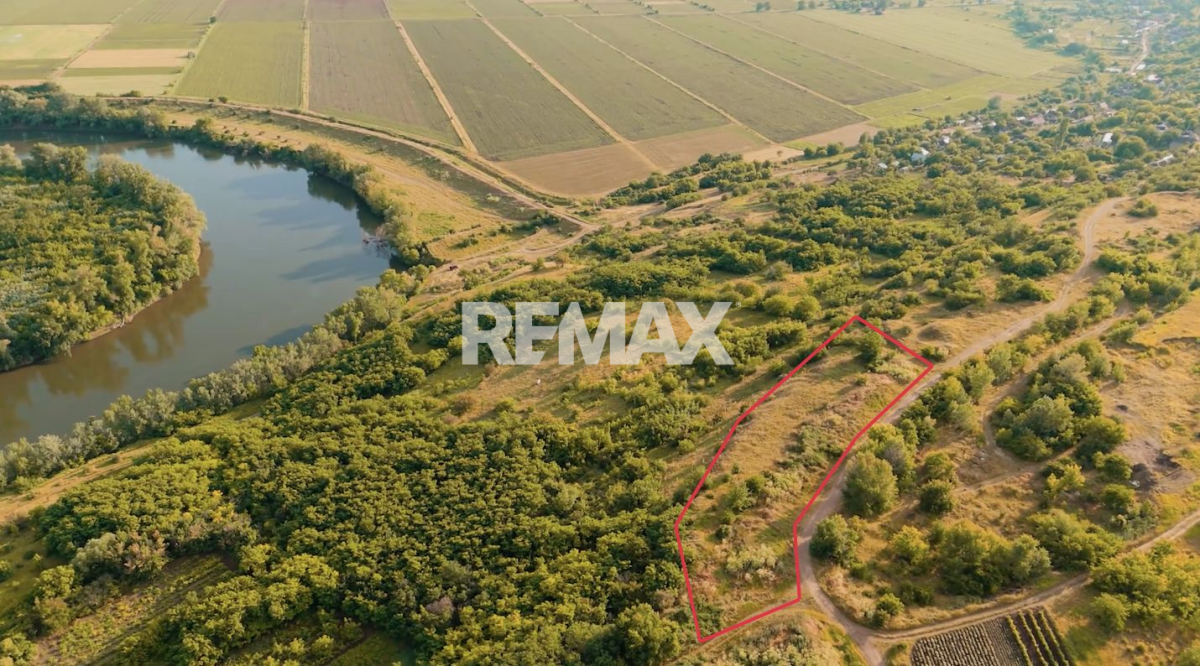 50.000 EUR
