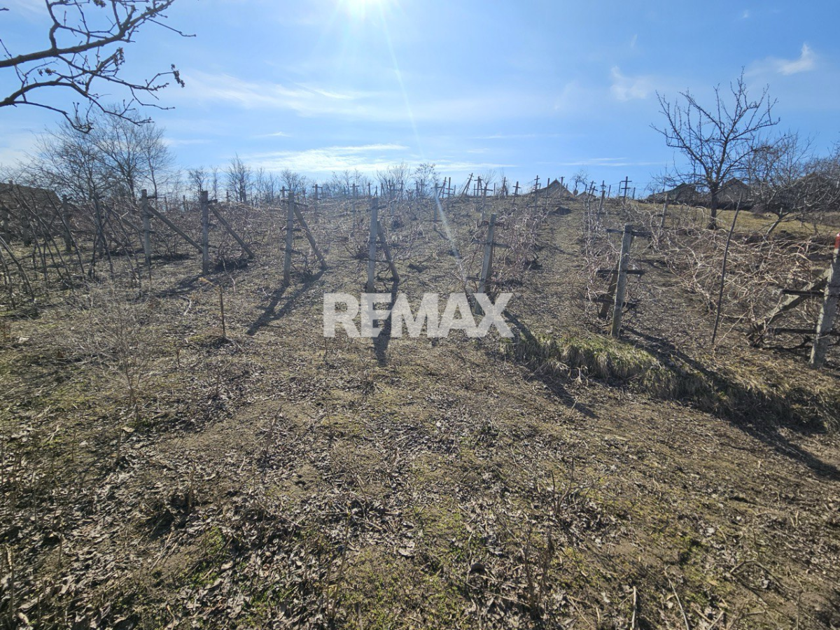 13.000 EUR