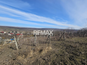 13.000 EUR