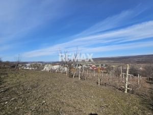 13.000 EUR